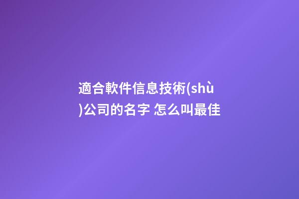 適合軟件信息技術(shù)公司的名字 怎么叫最佳-第1張-公司起名-玄機(jī)派